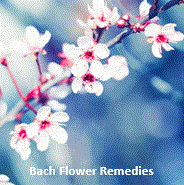 Bach Flower Remedies Bach Flower Remedies