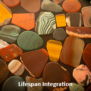 Lifespan Integration Lifespan Integration