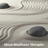 About Mayflower About Mayflower